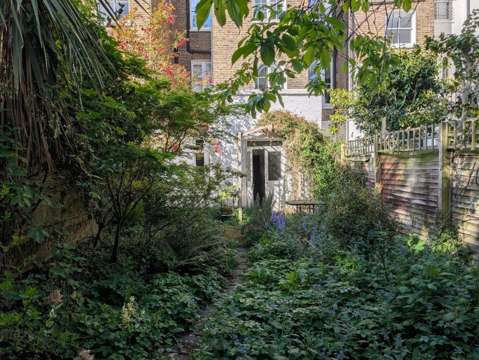 Private garden as found